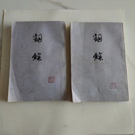 词综(全二册)