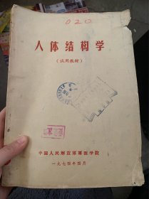 人体结构学（试用教材）