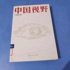 中国视野