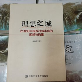 理想之城 21世纪中国乡村城市化的困惑与构建