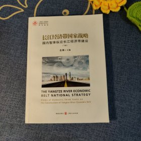 长江经济带国家战略——国内智库纵论长江经济带建设(下册)
