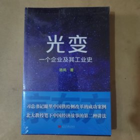 光变：一个企业及其工业史