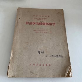 解剖学及组织胚胎学