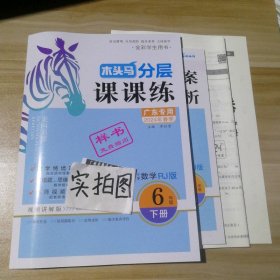 23春木头马分层课课练小学数学6年级下册人教版RJ版课时作业训练单元提优试卷基础能力提升练习册