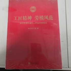 工匠精神，劳模风范 潍坊劳模影像志山东省劳模卷三 卷四合售