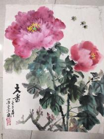 牡丹花，软片60 X 49