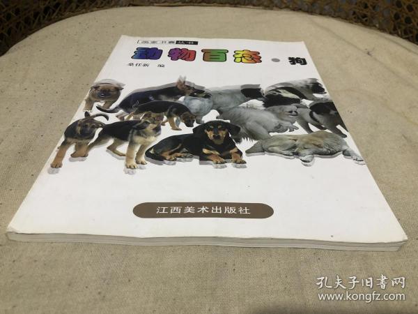 动物摄影图片资料书籍 狗篇 画家 摄影家等美术创作资料用书