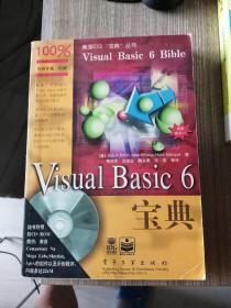 Visual Basic 6宝典