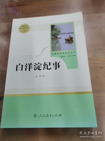 白洋淀纪事 名著阅读课程化丛书（统编语文教材配套阅读）七年级上