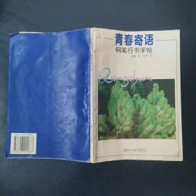 青春寄语:钢笔行书字帖