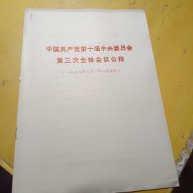 中国共产党第十届中央委员会第三次全体会议公报