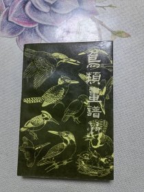 鸟类画谱