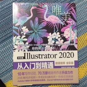 中文版Illustrator2020从入门到精通（微课视频全彩版）（唯美）