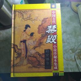 中国古代禁毁小说珍秘本集成《13册合售》