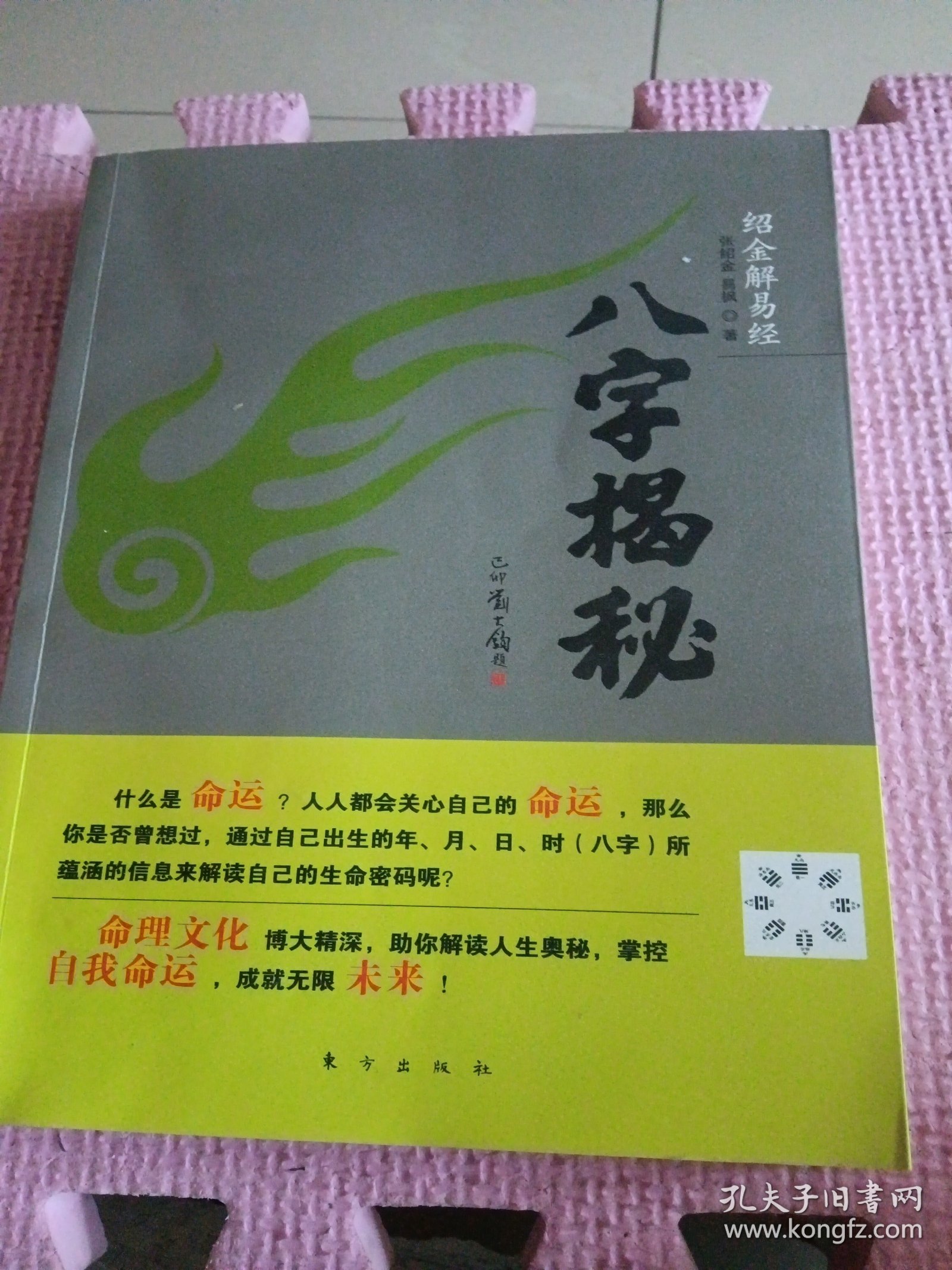 绍金解易经：八字揭秘