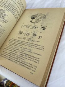 （获第五届全国优秀科技图书二等奖）神经解剖学 精装