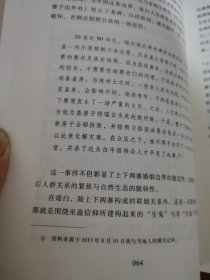 姻亲与“他者”：清水江北岸一个苗寨的历史、权力与认同