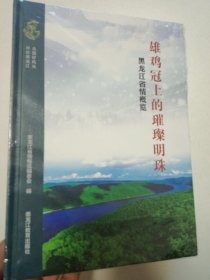 雄鸡冠上的璀璨明珠黑龙江省情概览