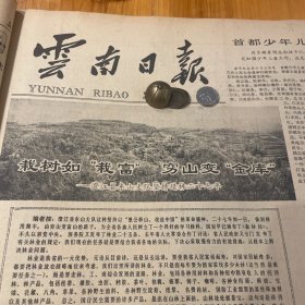 头版头条！澄江县九村公社东山大队坚持造林27年！镇沅小学姜维芳。昆明翠湖刺绣服装厂。《云南日报》