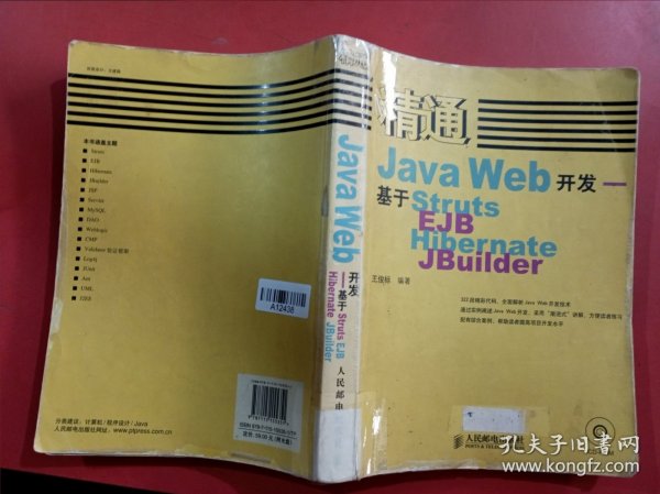 精通Java Web开发