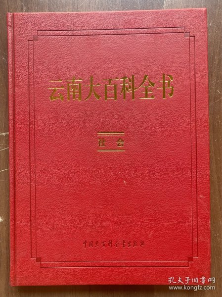 云南大百科全书 社会  品佳近新 16开