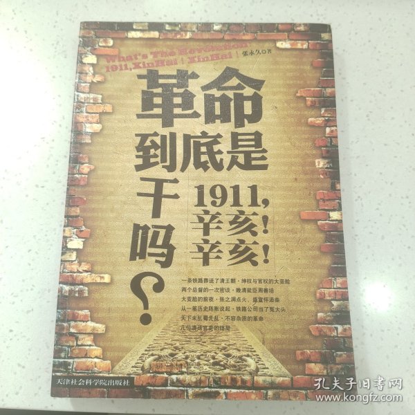 革命到底是干吗？：1911，辛亥！辛亥！