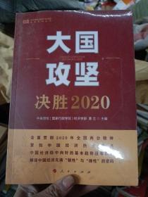 大国攻坚：决胜2020（中央党校（国家行政学院）智库系列丛书）