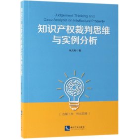 知识产权裁判思维与实例分析