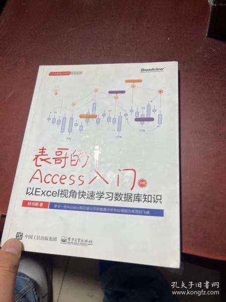 表哥的Access入门：以Excel视角快速学习数据库知识