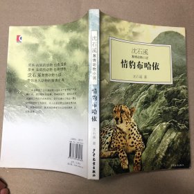 情豹布哈依：沈石溪激情动物小说