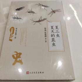 同题散文经典：夏三虫 夏天的昆虫