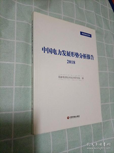 中国电力发展形势分析报告 2018