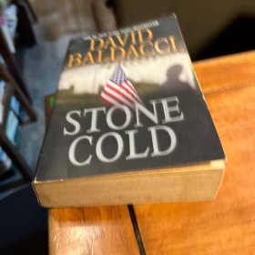 英文原版小说 stone cold