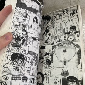 人间（2本合售、封面塑封起皮、书本保存较好、带函套）