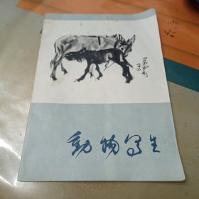 动物写生