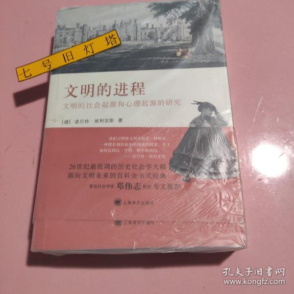 文明的进程：文明的社会发生和心理发生的研究