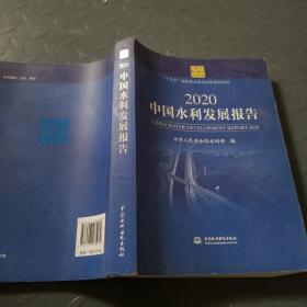 2020中国水利发展报告