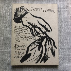 英文原版 Raymond Pettibon  To Wit   艺术画册  精装