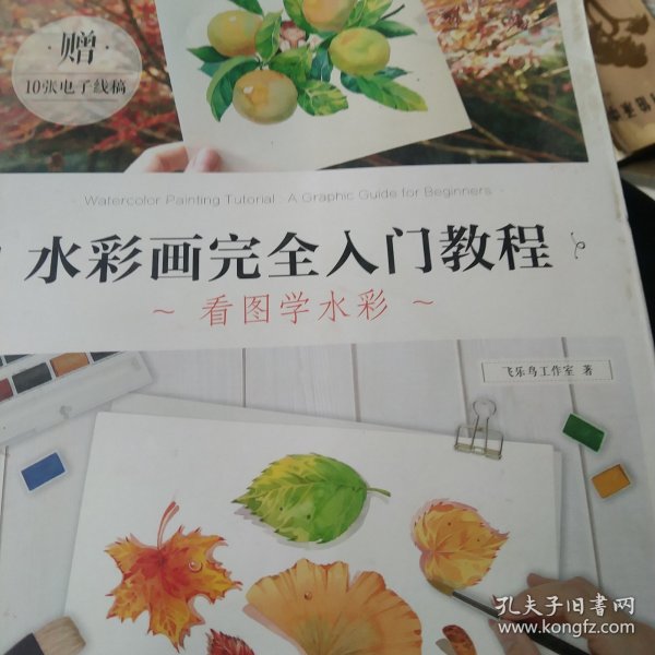 水彩画完全入门教程 看图学水彩