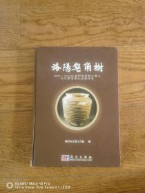 洛阳皂角树 1992-1993年洛阳皂角树二里头文化聚落遗址发掘报告