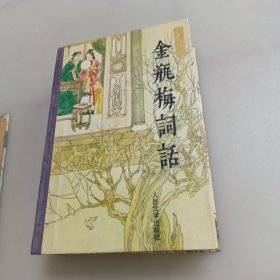 金瓶梅词话（上下册）