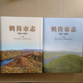 鹤岗市志1986-2005上下