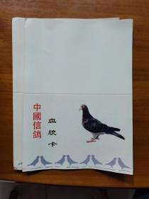 中国信鸽血统卡及镇江信鸽协会章程等资料等5份