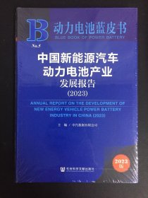 动力电池蓝皮书：中国新能源汽车动力电池产业发展报告（2023）