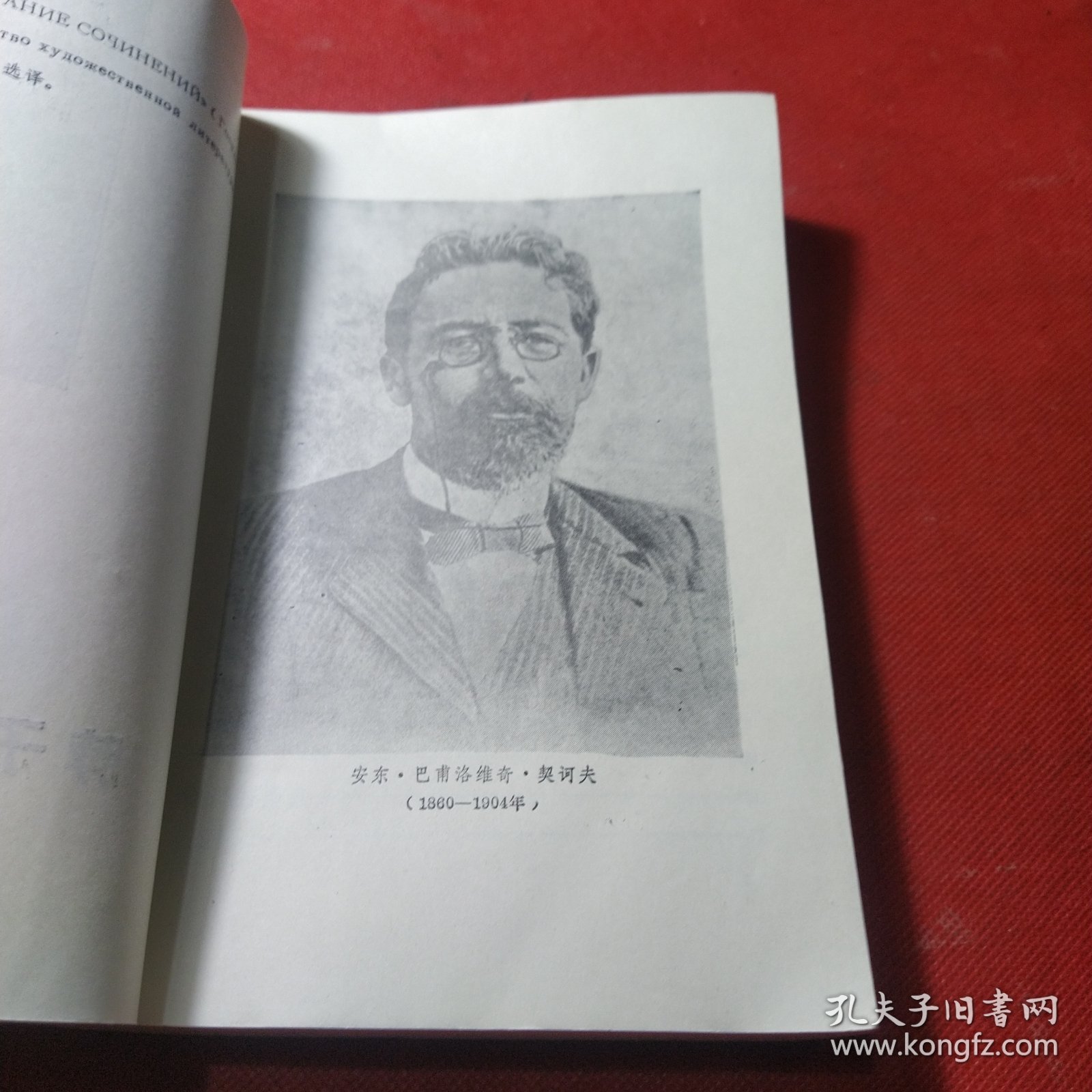 世界文学名著新译丛书:脖子上的安娜（契诃夫小说选）