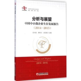 分析与展望