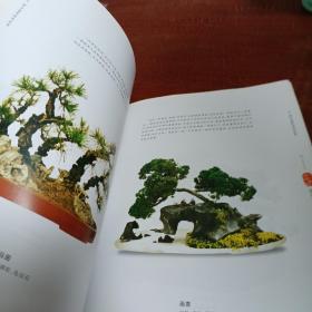 中国树石盆景艺术