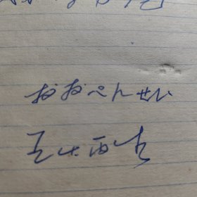 王炳生（原湖北省武术协会副秘书长、科协武术专业委员会委员、中国武当山拳法研究会特邀研究员、武当九宫门传人，省武术队教练）《武术笔记》一本（含武当九宫掌三十六穴手稿本，附图解小照片94张）