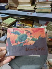 红心向太阳