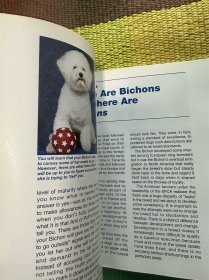 bichon frise等宠物比熊英文原版书籍五种